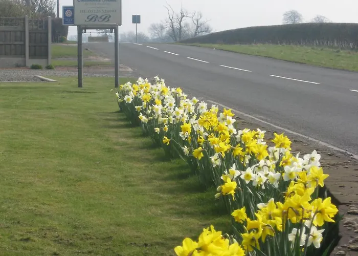 Guest house Crossroads House